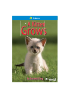 A_Kitten_Grows.pdf